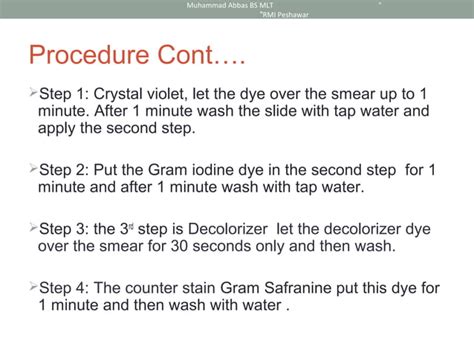 Preparation Gram Stain 的图像结果