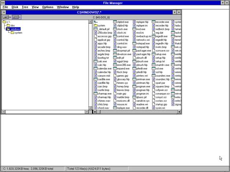 Windows 3.1 File Manager 的图像结果