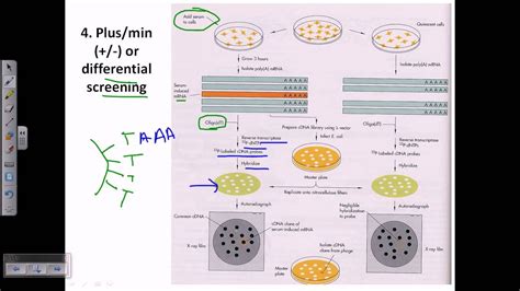 Library Screening 的图像结果