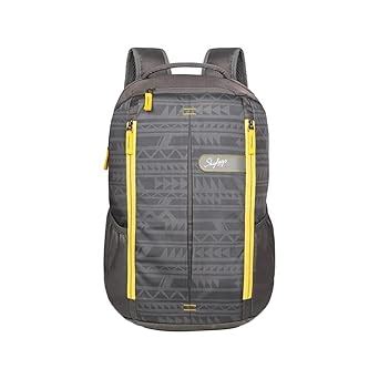 Buy Skybags Offroader Nx Polyester Mens Laptop Backpack (GREY, FREE ...