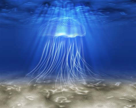 Image result for Windows Move Video Files Fish