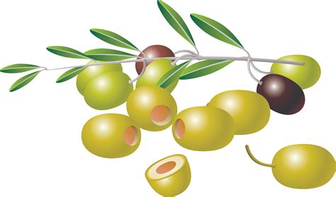 Olive PNG transparent image download, size: 3503x2066px