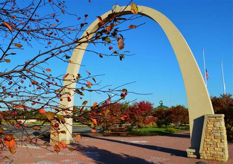 7 Cultural Hotspots to Check Out in Carol Stream, Illinois | TouristSecrets