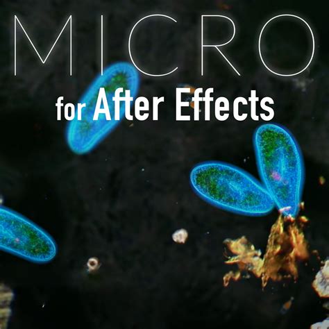 Image result for micro\