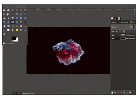 Image result for Design App UI Using GIMP