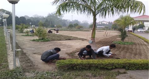 Plantation And Other Landscaping Activities - Horticulture Section