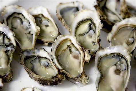 13 delicious oyster facts you probably didn't know