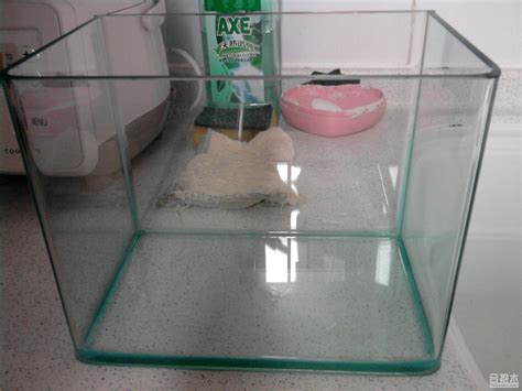 自制玻璃鱼缸有什么要点 玻璃鱼缸常用材质的分类,行业资讯-中玻网