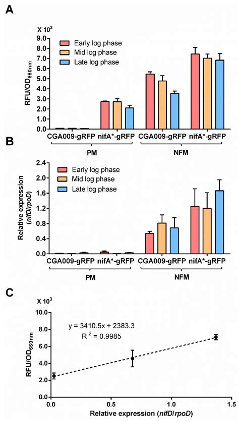 A Red Fluorescent Protein Reporter System Developed for Measuring Gene ...