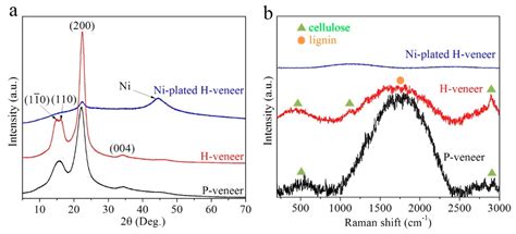 Rendering Wood Veneers Flexible and Electrically Conductive through ...