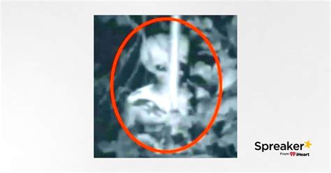 Image result for Alien Kill Count