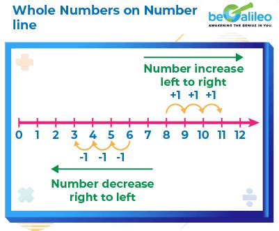 Image result for Whole Numbers Math Notes