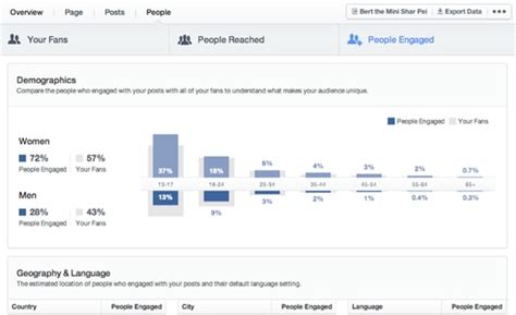 Facebook Insights: How to Use it for Beginners Easily