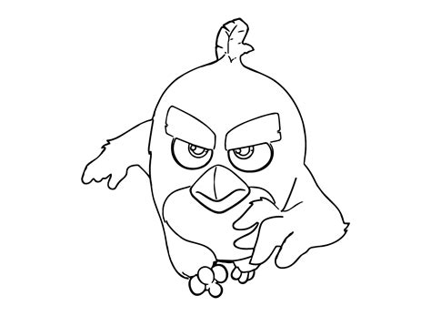 Image result for Angry Bird Color Pages