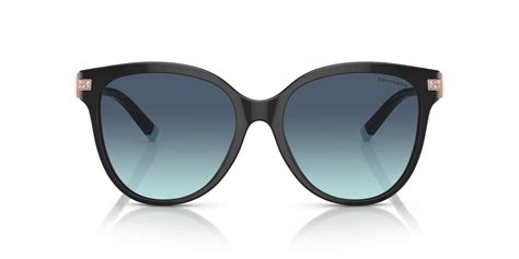 TIFFANY Women Acetate Sunglass
