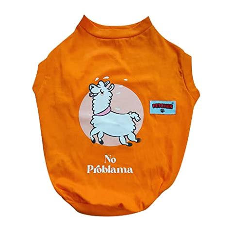 Amazon.in Bestsellers: The most popular items in Shirts