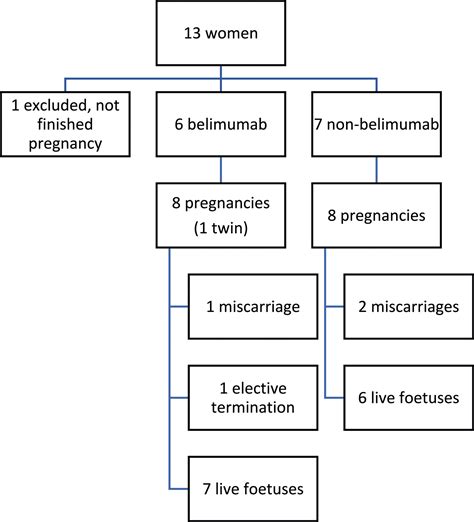 Considering belimumab during pregnancy: A more viable option over time ...