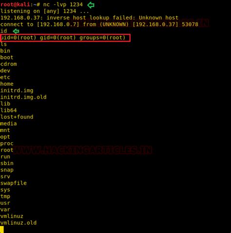Penetration Testing on Splunk - Hacking Articles