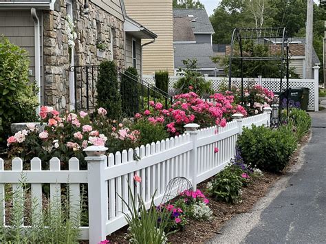 Image result for Landscape Architecture Line Design Examples