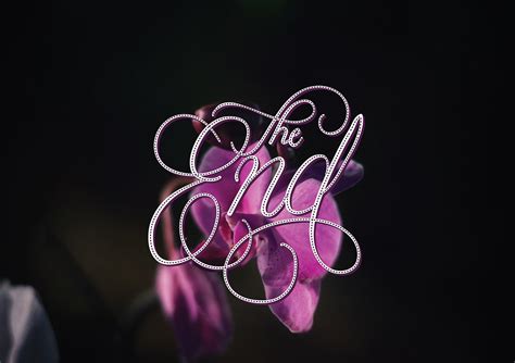Multimedia Lettering Design 的图像结果