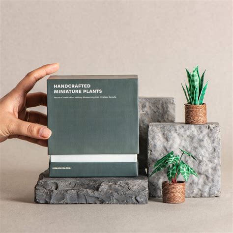 Snake Plant & Alocasias Polly| Set of 2 | Miniature Paper Plant ...