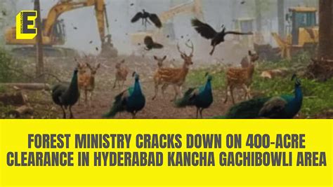 Forest Ministry cracks down on 400-acre clearance in Hyderabad Kancha ...