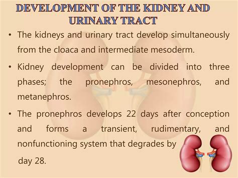 Congenital anomalies of the kidney and urinary tract | PPTX