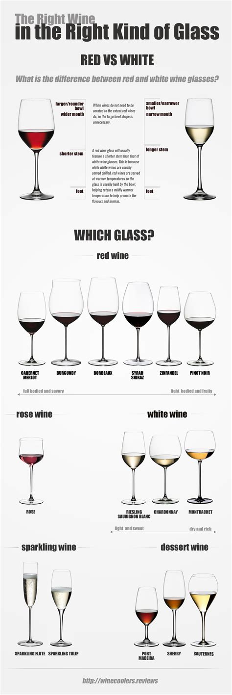 Know Types Of Wine Glasses [INFOGRAPHIC] - Infographic Plaza
