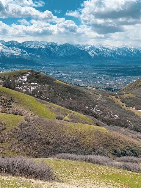 Running Shirtless, is it acceptable? : r/trailrunning