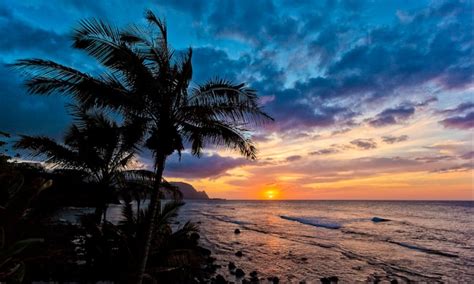 No humans scenery tree outdoors cloud sky palm tree beach sunset ...