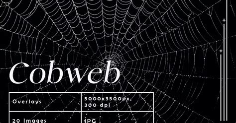 Spider Cobweb Overlays — Teletype