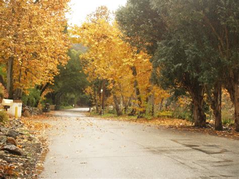 Image result for Internet Connection Break