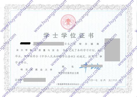 哈尔滨商业大学历届毕业证样本-胡杨树样本网