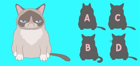 Image result for Grumpy Cat Game