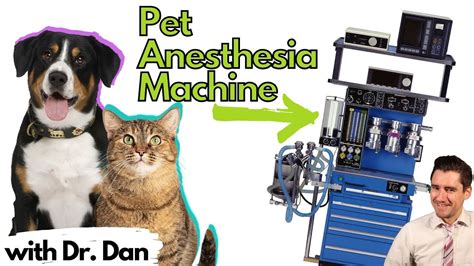 Image result for Anesthesia Machine Procedures