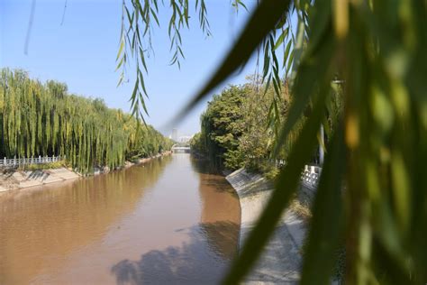 【走向我们的小康生活】宁夏银川市：守着黄河水 终于解渴了--中国食品药品网