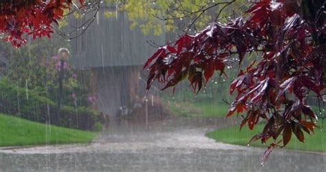 Monsoon 2019: El Nino values decline further for the fourth consecutive ...