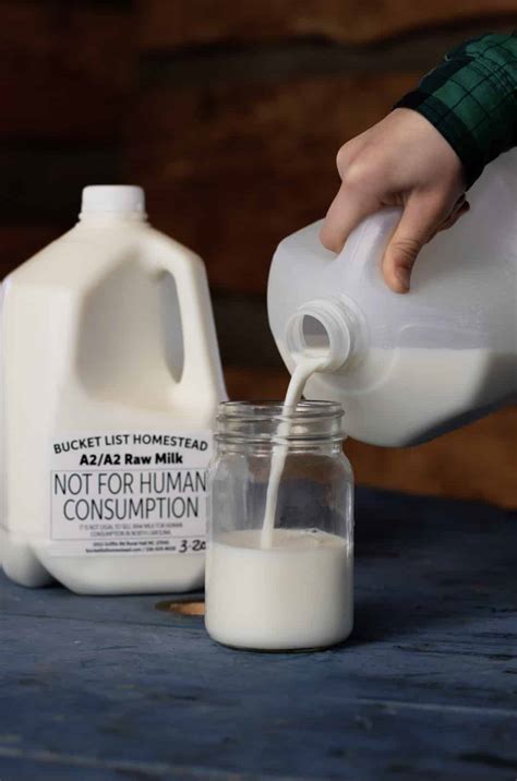 A2A2 Raw Milk – 1 Gallon - Bucket List Homestead