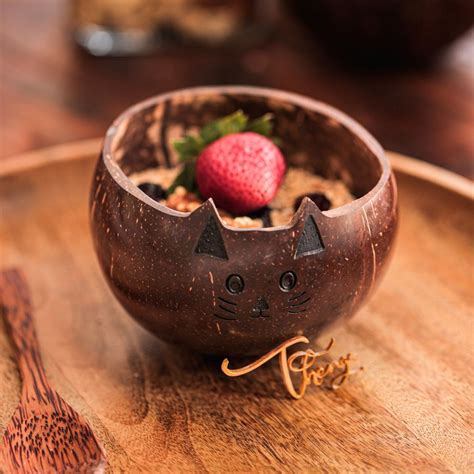 Coconut Shell Kids Serving Bowl | Animal Design - CAT 350ml (Set of 1 ...