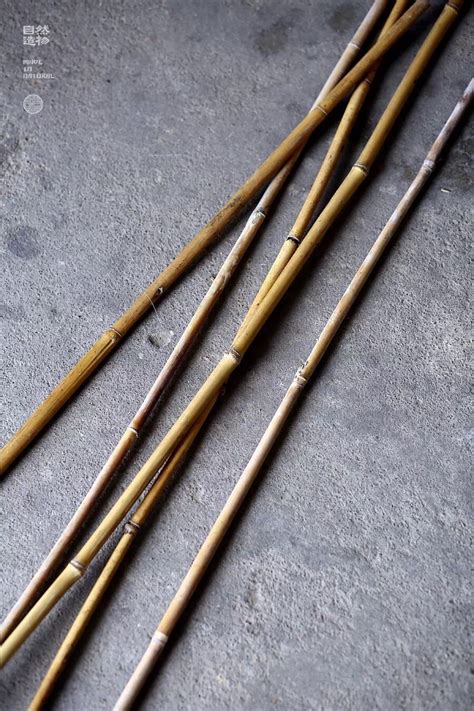 厂家批发加工各种规格天然原竹装饰装潢竹竿白竹竿竹片碳化竹竿-阿里巴巴
