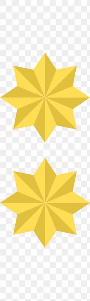 Image result for Lieutenant Colonel Rank