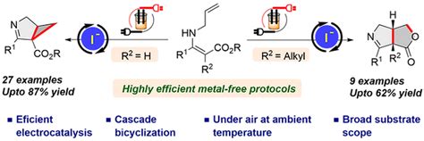 2024 | RedOx Lab IISERK