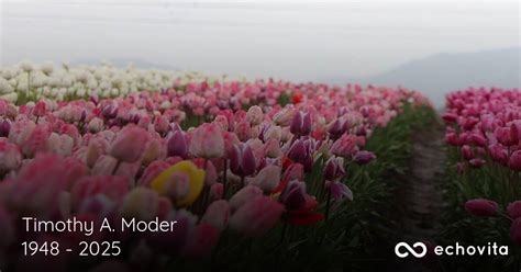 Timothy A. Moder Obituary (1948-2025) | Superior, WI