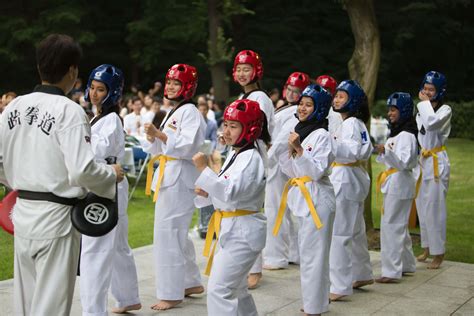 Yonsei International Summer School, Seoul, Korea – Yonsei University