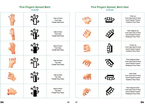 American Hand Sign Language 的图像结果