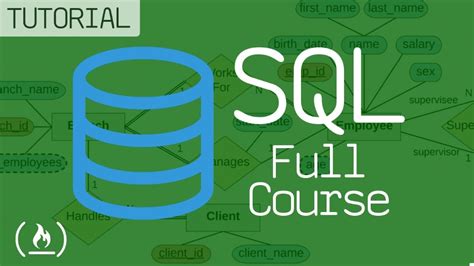 Databases Full Course for Beginners 的图像结果