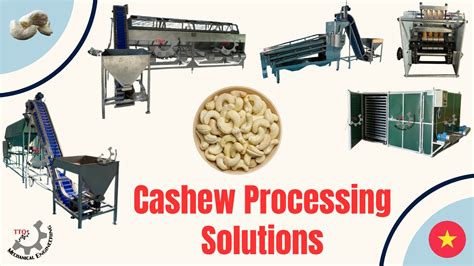 Comprehensive Cashew Processing Solutions - Cashew Processing Machine ...
