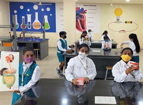 Truly International School