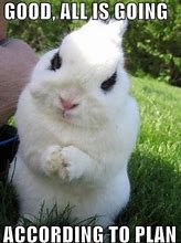 Image result for cute evil bunny memes