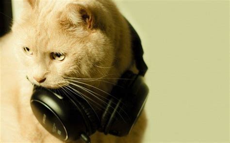 Image result for Cat Generator Control Module